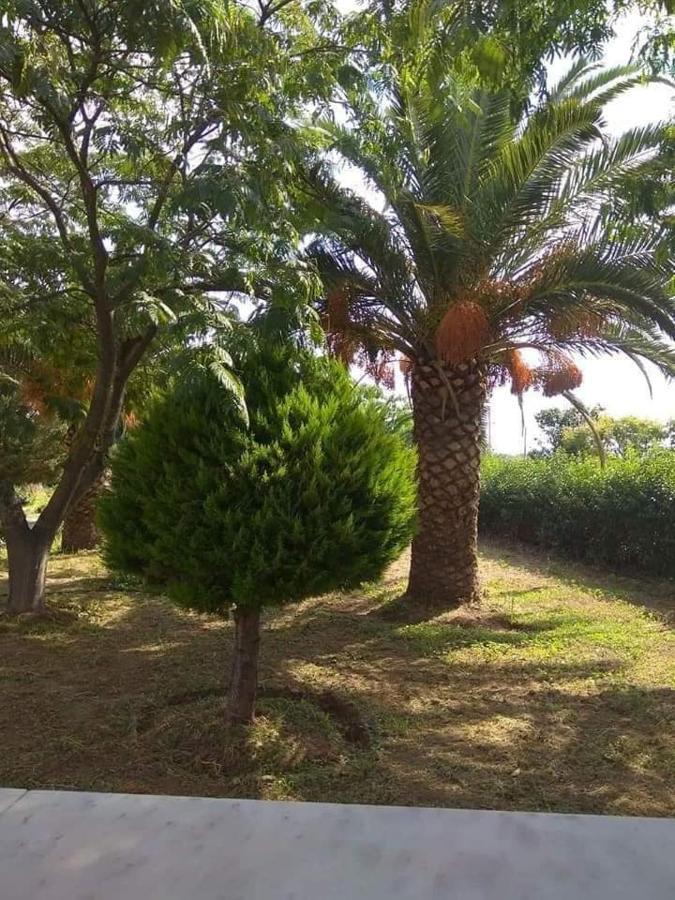 Oasis Studios Skala Kallonis Bagian luar foto