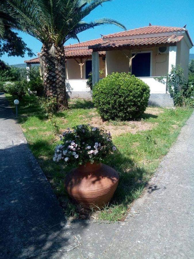 Oasis Studios Skala Kallonis Bagian luar foto