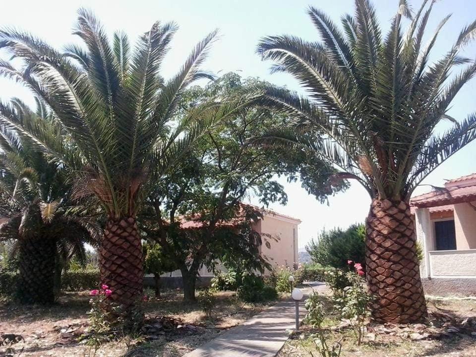 Oasis Studios Skala Kallonis Bagian luar foto