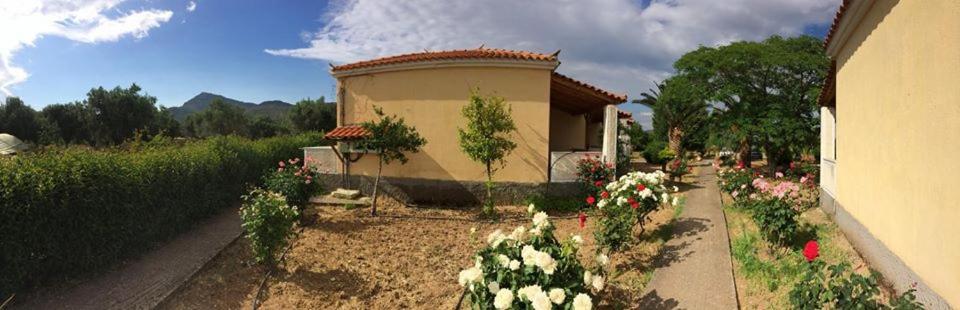 Oasis Studios Skala Kallonis Bagian luar foto