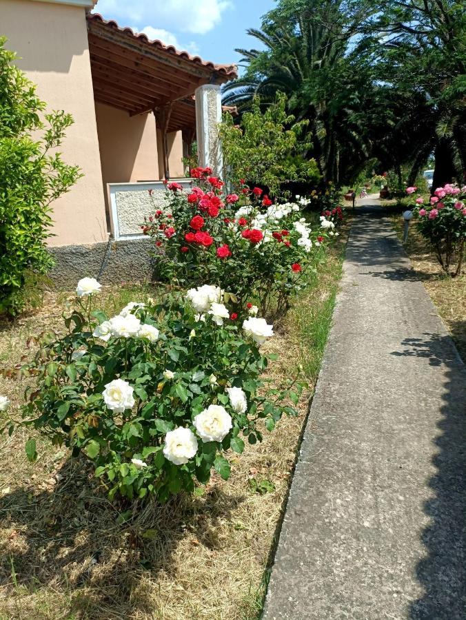 Oasis Studios Skala Kallonis Bagian luar foto